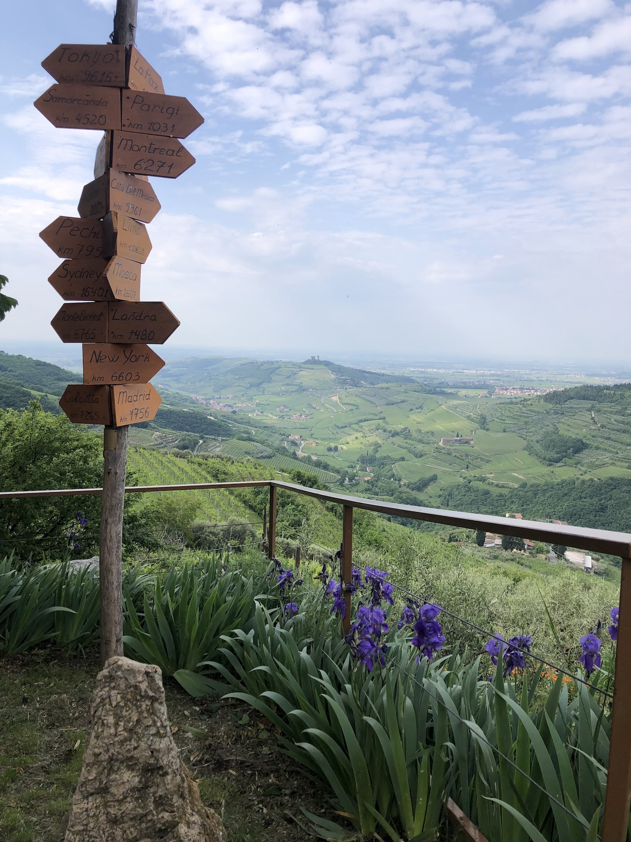 Da Semplici Erbe si raggiunge il mondo