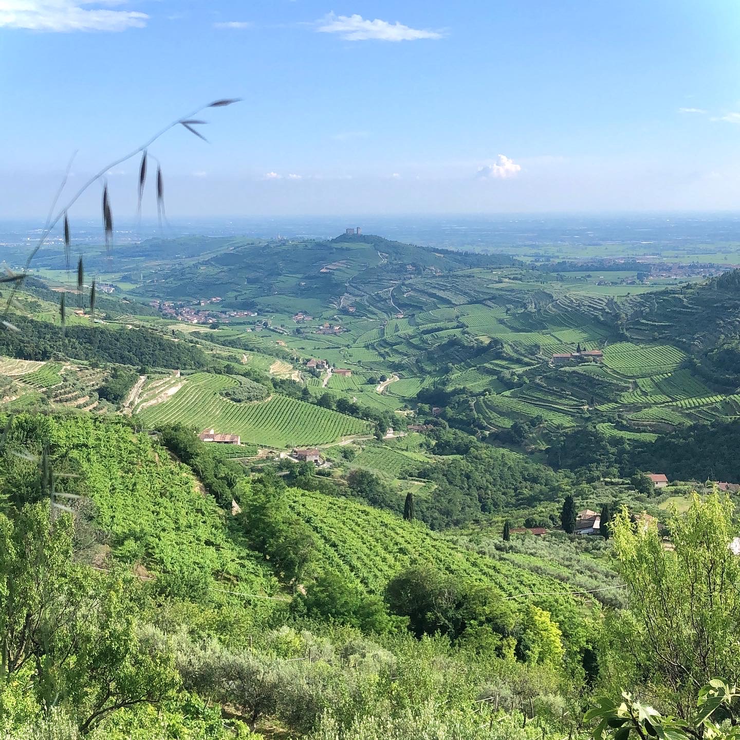 Paesaggio della Lessinia